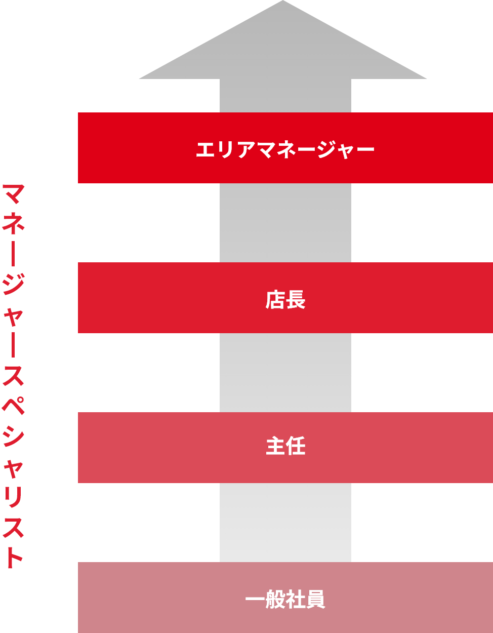 マネージャースペシャリスト